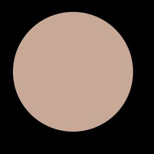 elke BROW TAMER POMADE CLEAR transparent water resistant vegan formula brow wax