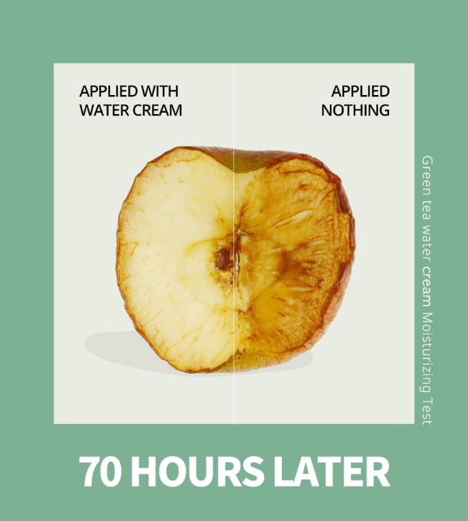 BONAJOUR] Green Tea Water Bomb Vegan Moisturizing Facial Gel Cream for sensitive skin - Daily hydrating Moisturizer 3.38 Fl. oz -