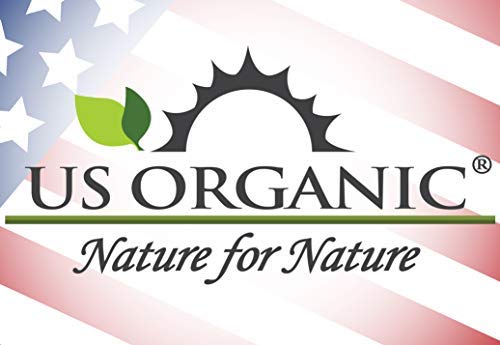 US Organic 100% Pure Rosemary Essential Oil, USDA Certified Organic 100% Pure, Steam Distilled, for Hair Growth, Scalp, Face, Skin, and Aromatherapy (Size Variations Available) (30 ml)