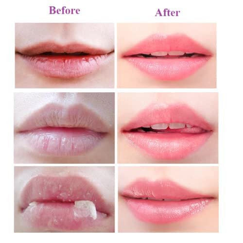 2PCS Bee Balm Honey Pot,Propolis Moisturizing Lip Mask,Hydrating & Prevention Dry and Cracked Lip Scrubs Exfoliator