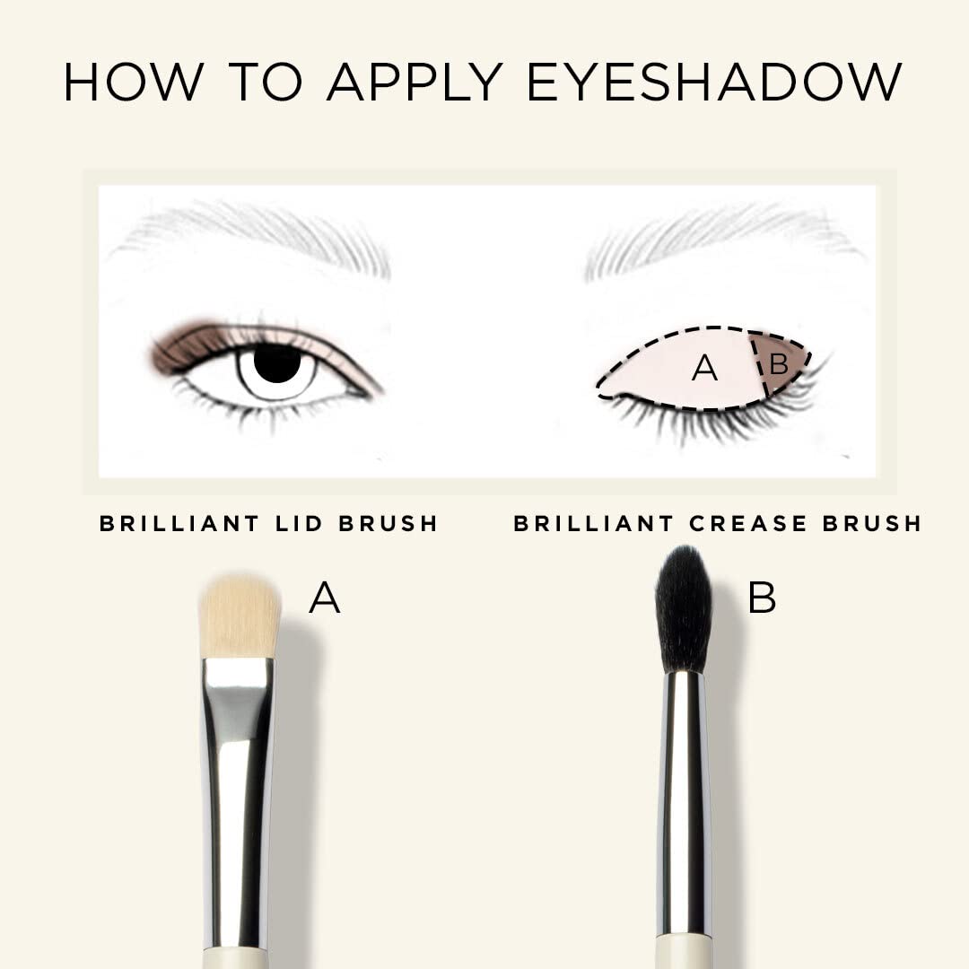 HALEYS Lid Eyeshadow Brush, Medium Flat Tapered Brush, Easy Blending and Shading for Building Eyeshadow Color, High-end Synthetic Bristles, Multi-tasking, for Cream and Powder Makeup, Vegan + CF