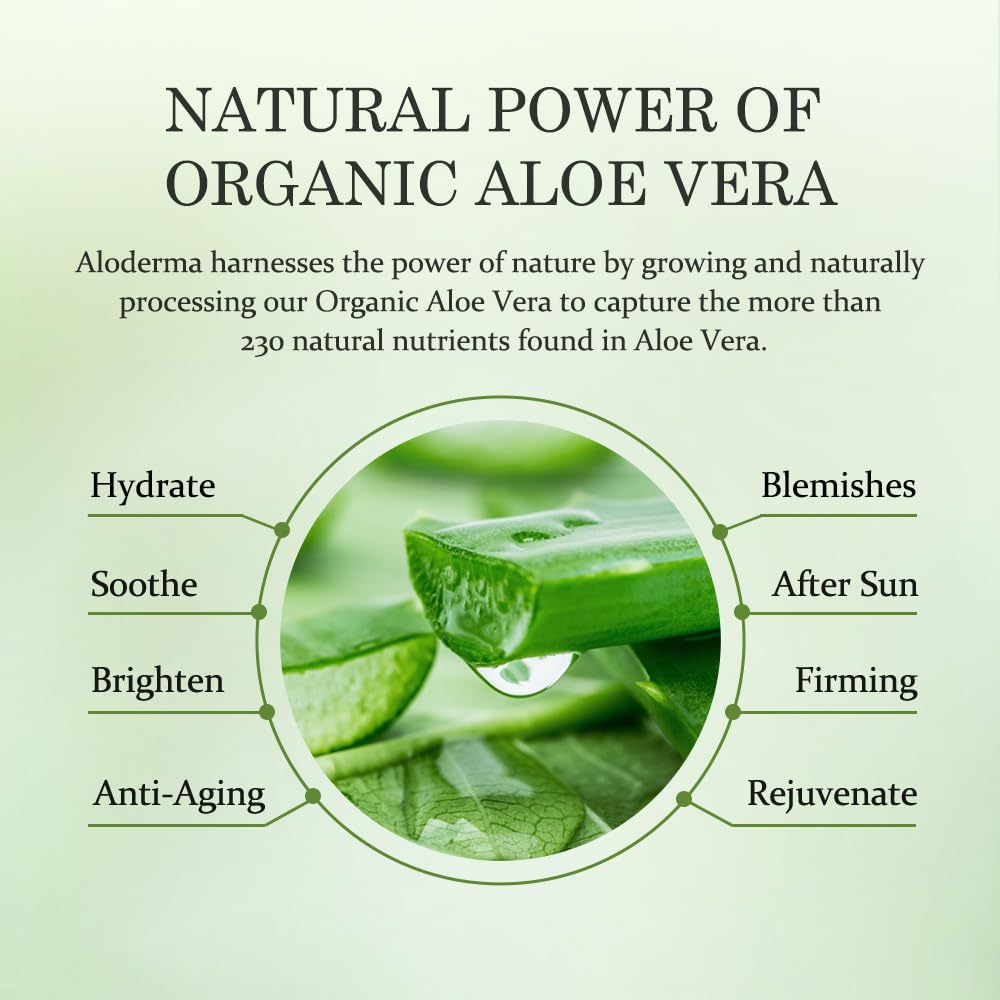 Aloderma Firming Sheet Masks with 89% Organic Aloe Vera 5 pcs - Formulated for Age-Defying Results with Hyaluronic Acid & Arginine, Intense Hydration & Nourishment for Plump, Supple, Rejuvenated Skin