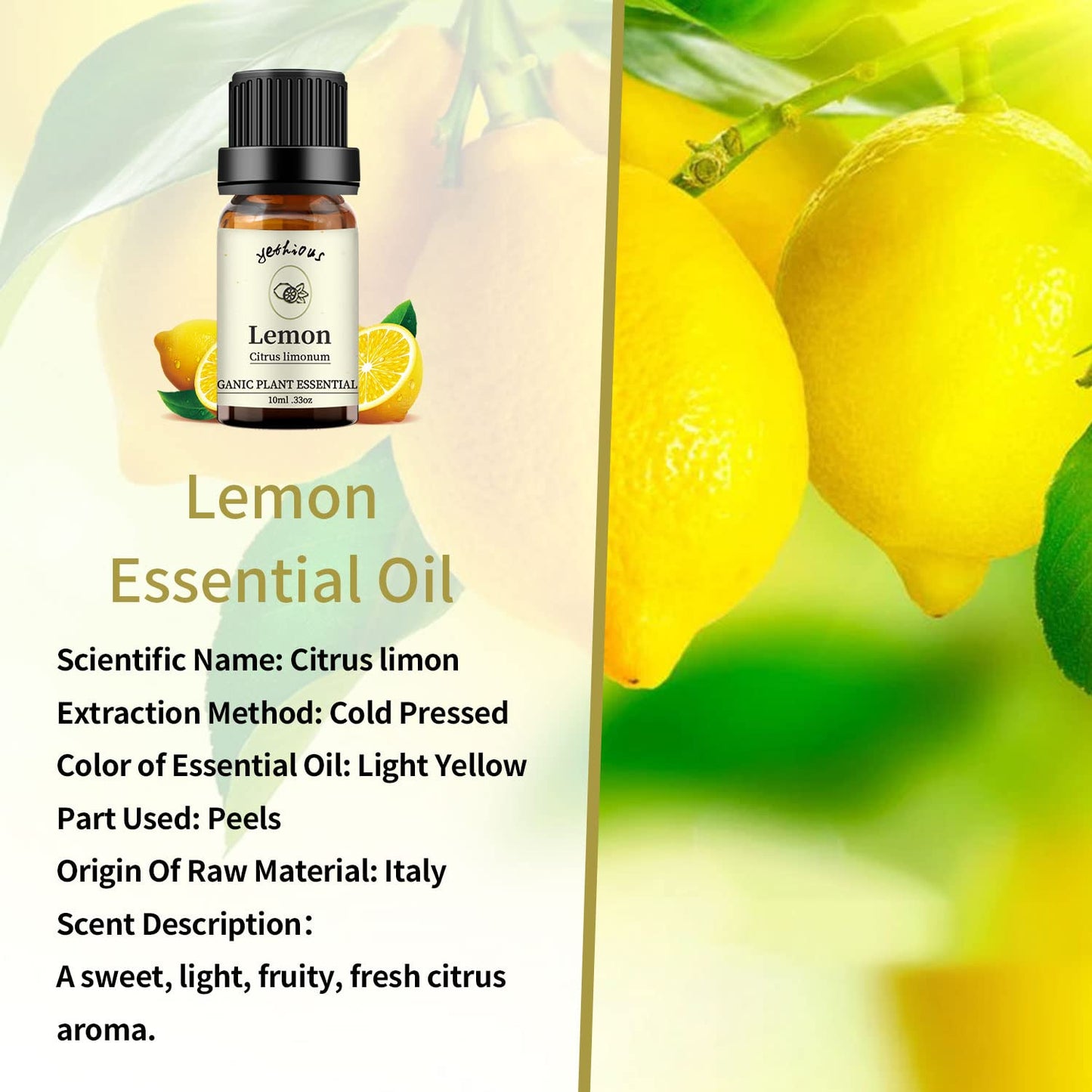 yethious Rose Lemon Essential Oils Set 2pcs*10ml 0.66oz 100% Organic Pure Aromatherapy Gift Oil Kit for Diffuser Rose Oil Essential Oil