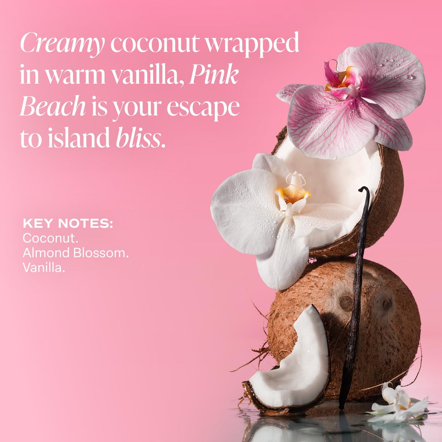 Saltair Body Lotion - 2 Pack Moisturizing Lotion For Dry Skin. Pink Beach Scented Hydrating Body Cream with Nourishing Moisturizer Formula. Skin Care for Women and Men. 2x 10oz Tubes