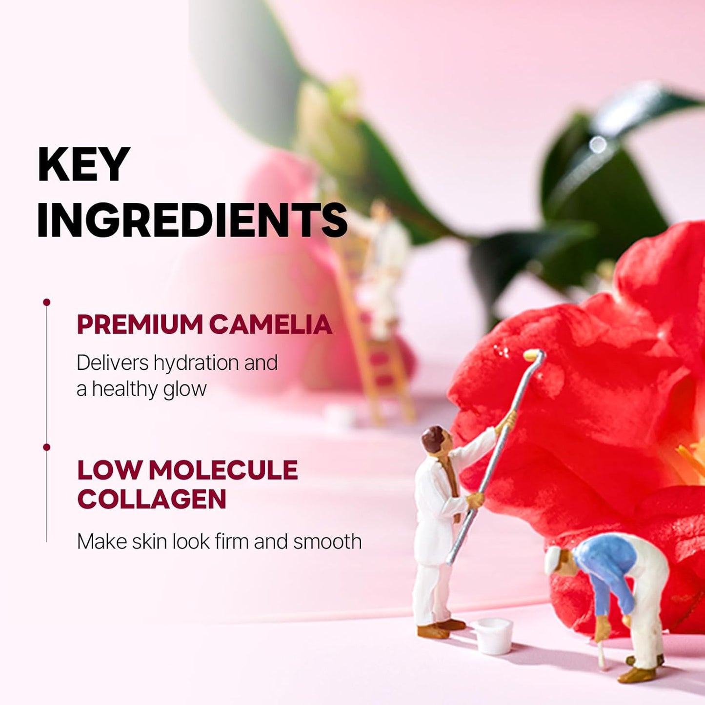 ROUND LAB Camellia Collagen Mask, 30min Hydrogel Mask, Quick Hydration, Firming&Pore Minimizing, For sensitive skin, Micro molecule collagen, Facial Mask, 34 g/1.19 Fl Oz 4ea