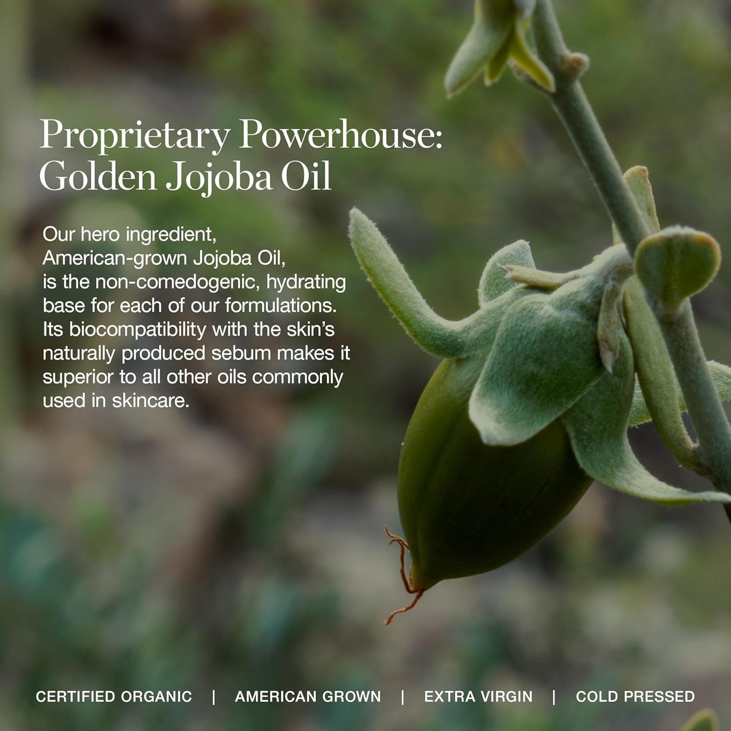 Ogee Complexion Perfecting Under Eye Concealer - Certified Organic Full Coverage Concealer - Buildable Coverage - FIR 0.02W - Fair (Warm-Golden Undertones)