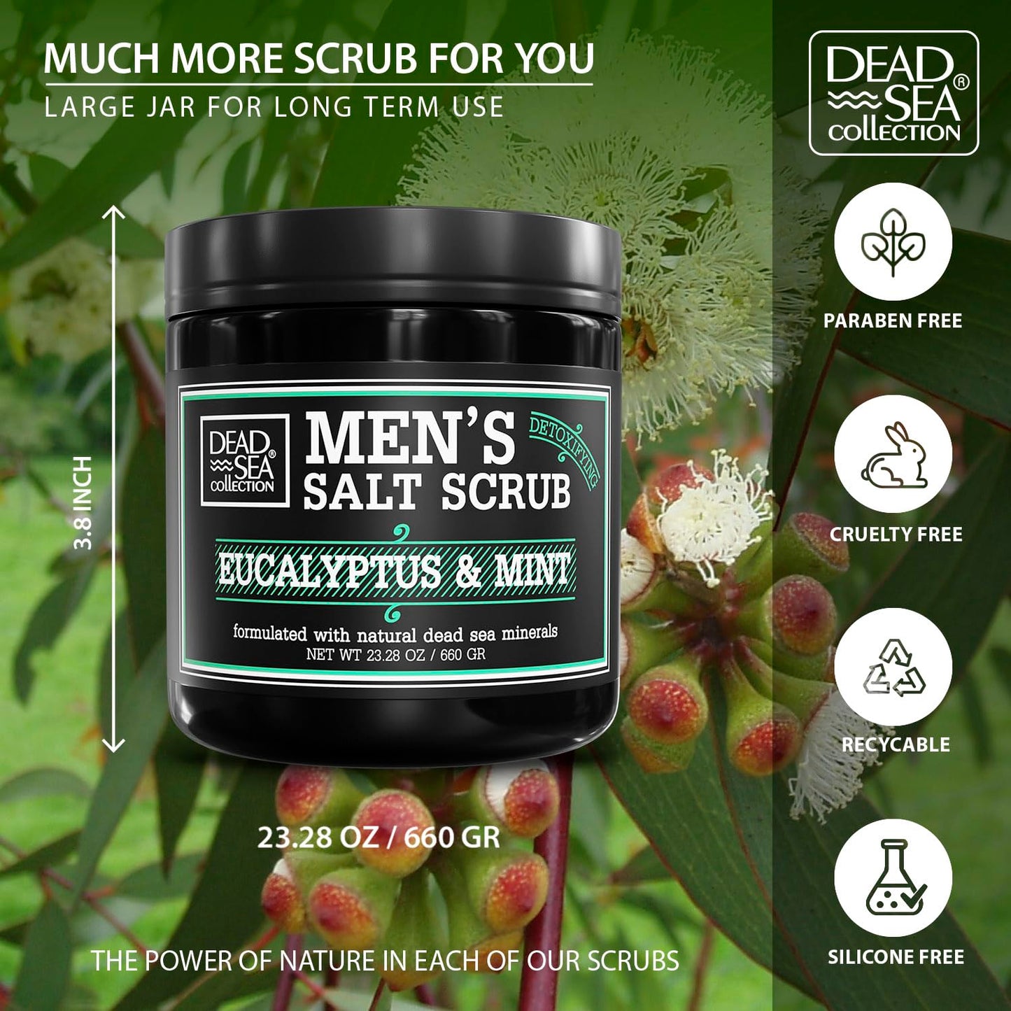 Salt Body Scrub Eucalyptus & Mint For Men– Moisturizes, Exfoliates & Nourishes Skin – Cleanses & Detoxifies with Dead Sea Minerals – Dead Sea Collection - 23.28 OZ