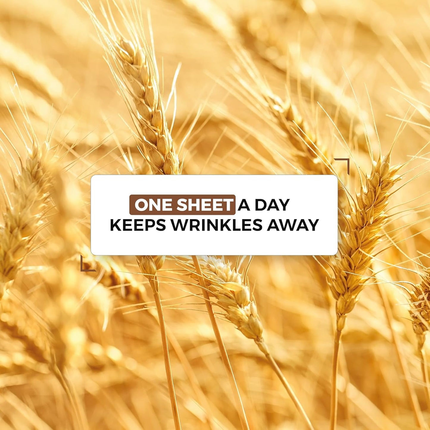 BEYOND Intensive Ampoule Mask 2X Phytoplacenta (25ml/0.85fl oz * 10 sheets) - Dermatologically Tested Hypoallergenic Sheet Masks for Improved Skin Elasticity