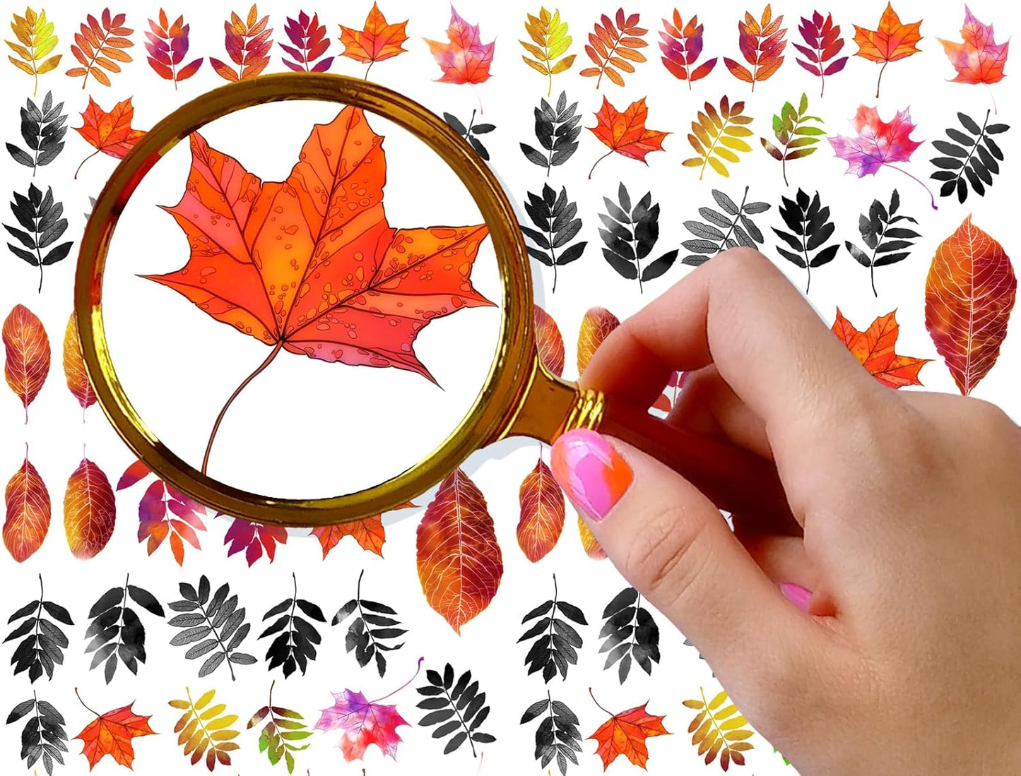 Nail Stickers Decal Transfers (5 Sheets) FLONZNAIL Autumn Leaves Vintage Watercolor Illustration