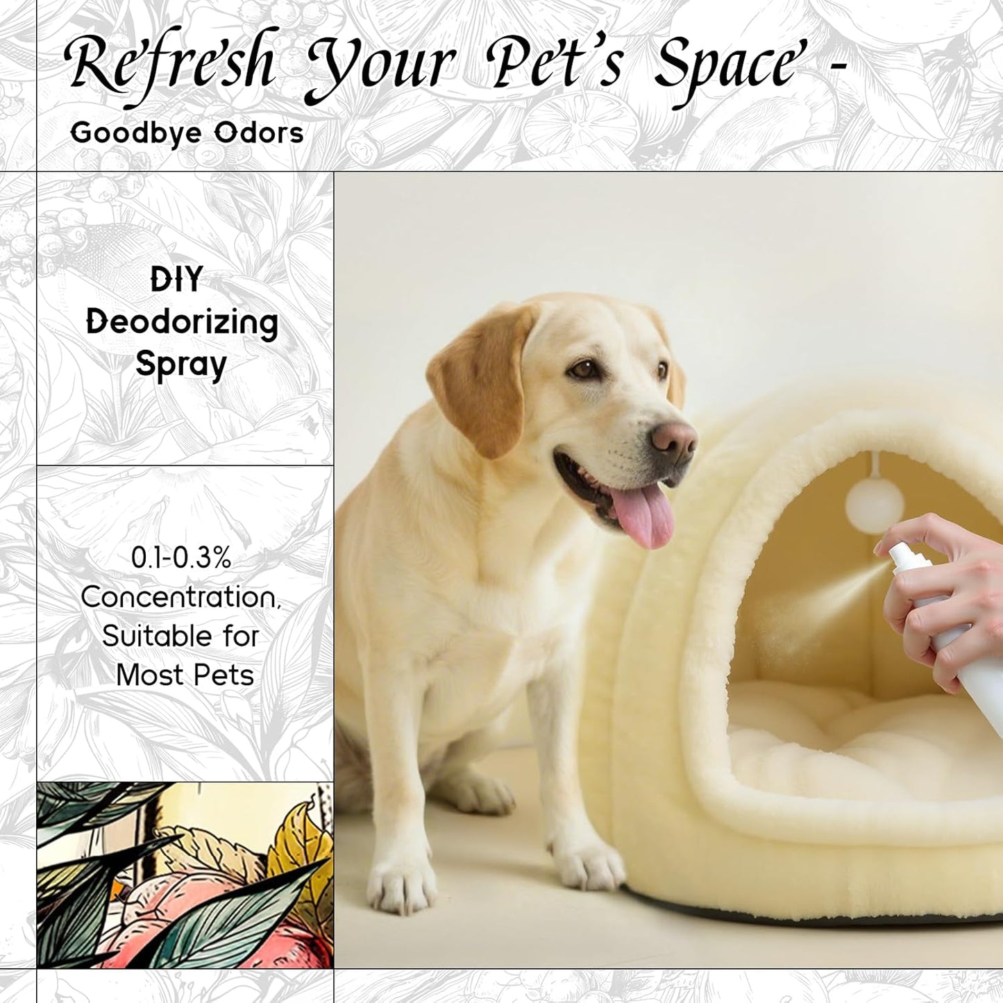 HIQILI Fairy Tale Pixie Fragrance Oil, Peach & Lemon Scents, for Making Soap, Room Spray, Body Scrub, Hotel Luxury, Home Diffuser, Secret Wish - 5.07 Fl Oz